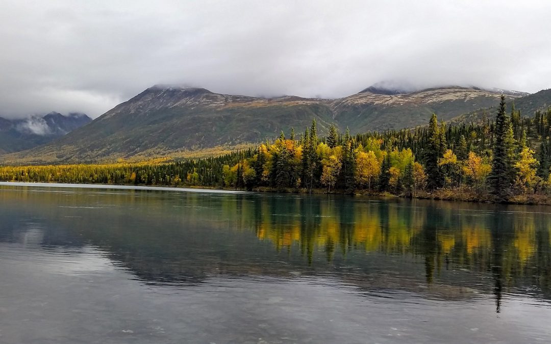 « Walden ou la vie dans les bois » de Thoreau : Eloge à la simplicité et à la liberté.