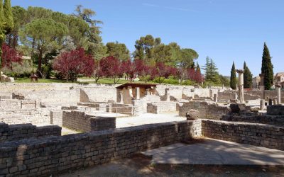 Découvre le site antique de Puymin à Vaison la Romaine