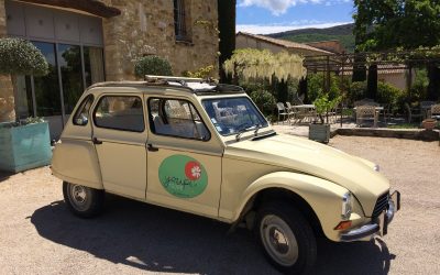 Youpi Tours : des échappées belles et humaines au cœur de la région du Mont Ventoux