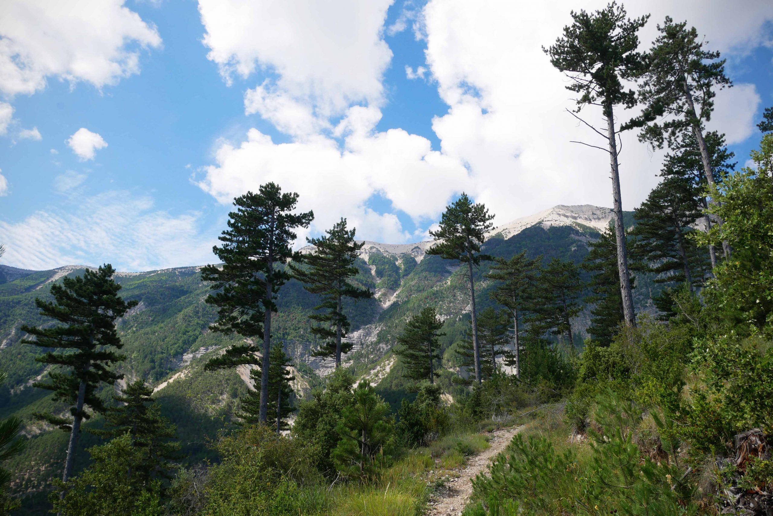 tour de france mont ventoux 2021