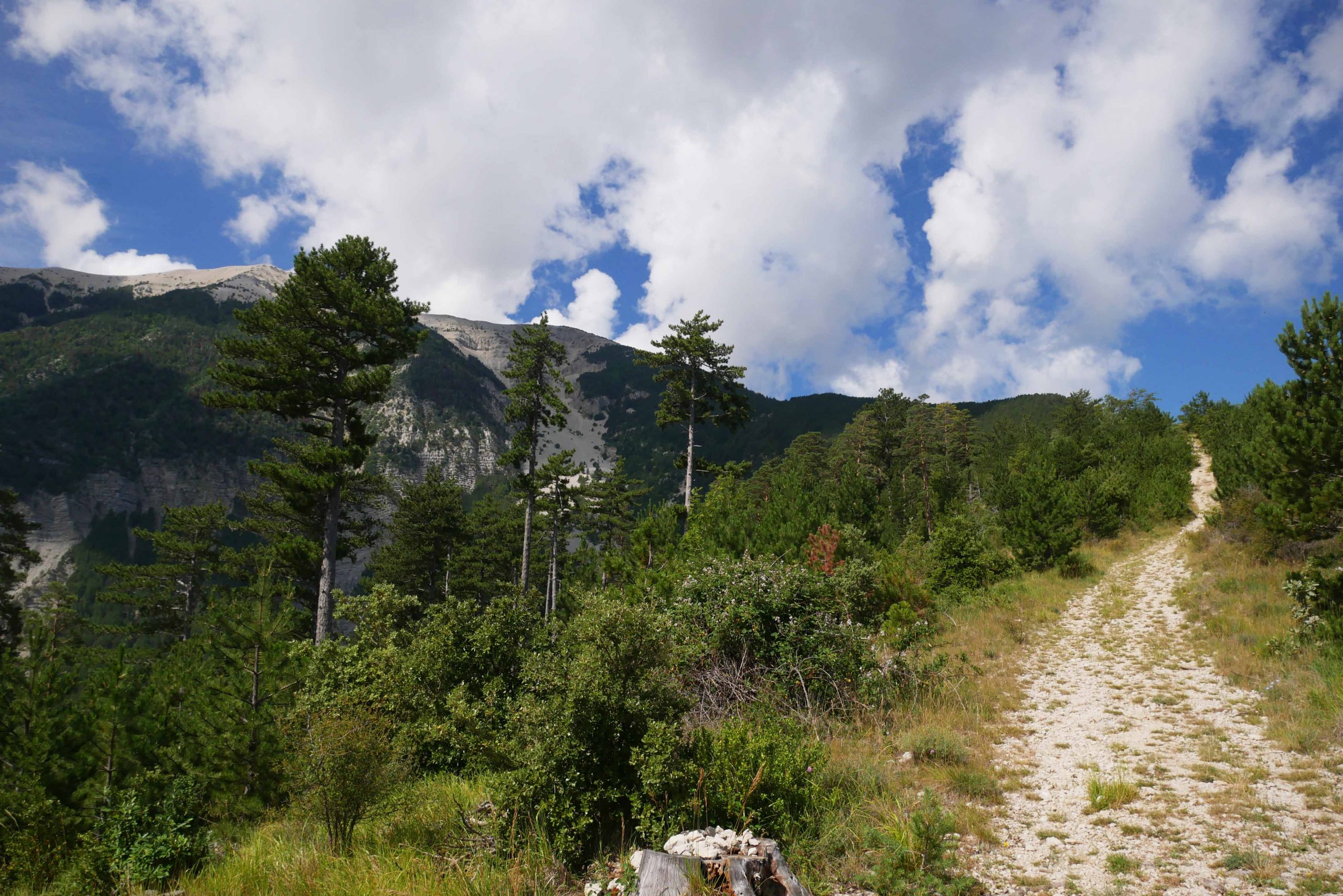 tour de france mont ventoux 2021